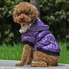 Bunda pre psa s čiernym lemovaním - fialová, XL