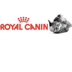 Mačiatka Royal Canin
