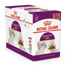 Royal Canin FHN Sensory Smell Gravy 12 x 85 g