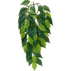 Ficus silk small - rastlina do terária, 45cm