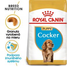 ROYAL CANIN Cocker Puppy granule pre šteňa kokeršpaniela 3 kg
